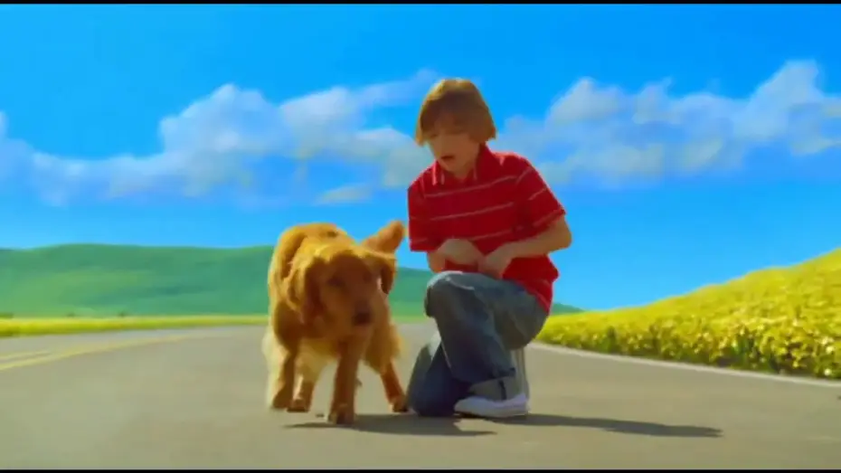 Wideo do serialu Pushing Daisies — Serie - Criando Malvas (Pushing Daisies)