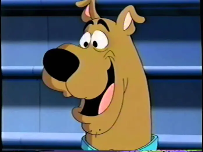 Wideo do serialu Co nowego u Scooby'ego? — What's New, Scooby-Doo? (2002) Teaser (VHS Capture)