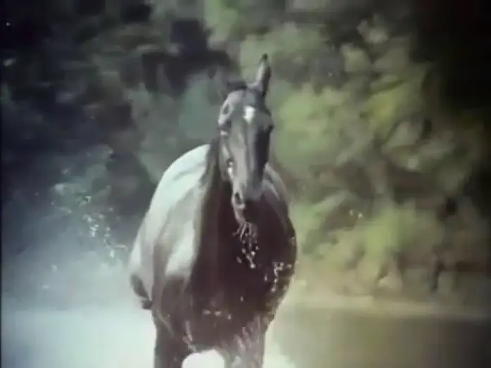Wideo do serialu Przygody Czarnuszki — The Adventures of Black Beauty Opening and Closing Theme 1972 - 1974