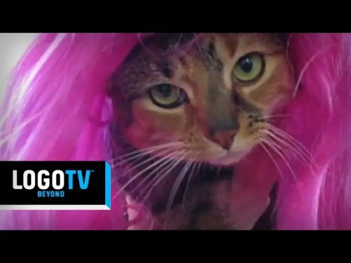 Видео к сериалу RuPaul's Drag Race — RuPaul's Drag Race Season 6 -  The Wait Is Over Kittens! - Logo TV