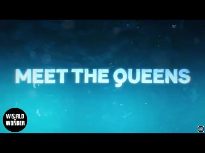 Видео к сериалу RuPaul's Drag Race — Meet the Queens of RuPaul's Drag Race Season 17 👑