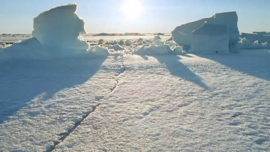 Wideo do serialu Lodowa planeta — BBC - Frozen Planet - Trailer (HD)