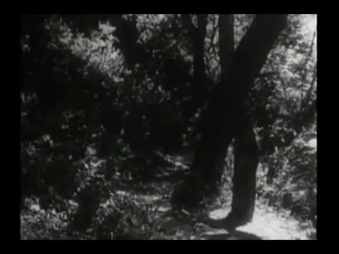 Wideo do serialu Daniel Boone — Original Daniel Boone Opening