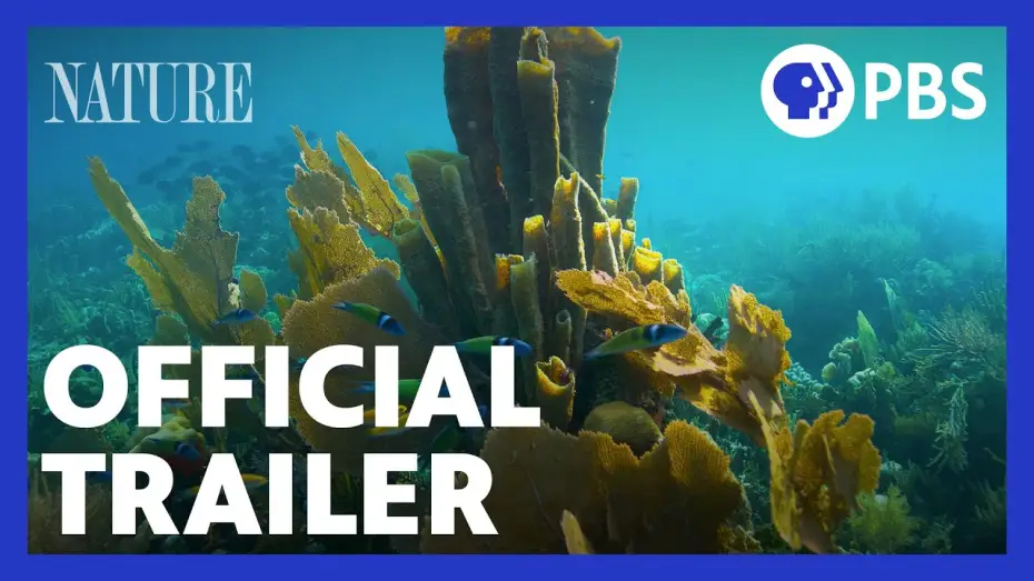 Видео к сериалу Natura — Treasure of the Caribbean | Official Trailer | NATURE | PBS