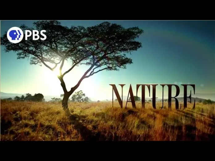 Видео к сериалу Natura — Welcome to PBS Nature