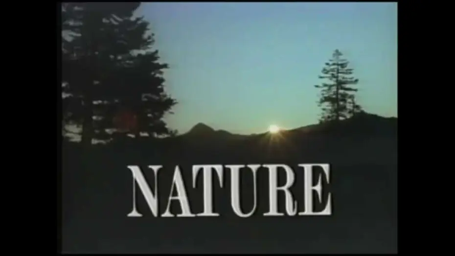 Видео к сериалу Natura — Intro to Nature - PBS (1987)
