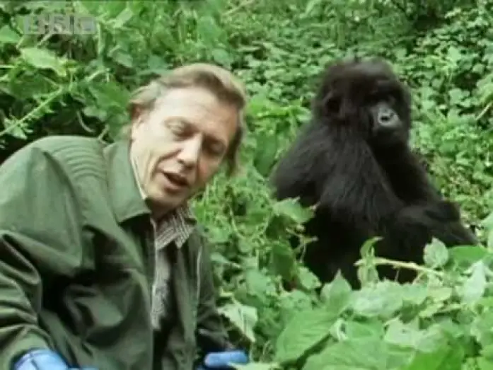 Wideo do serialu Życie na Ziemi — Sir David Attenborough - The story behind Life on Earth - BBC