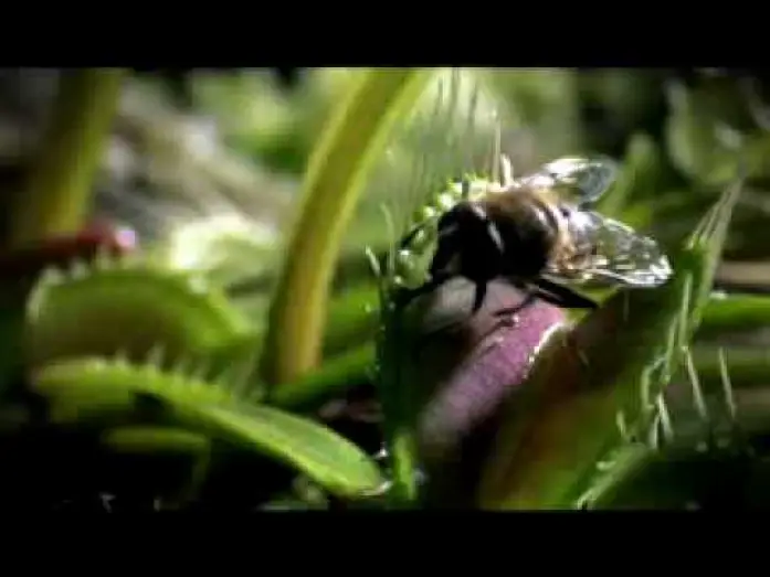 Wideo do serialu Życie — Life - BBC 2009 Trailer - Documentary