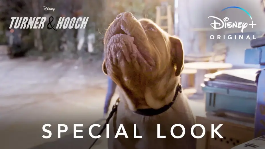 Видео к сериалу Turner & Hooch — Special Look | Turner & Hooch | Disney+