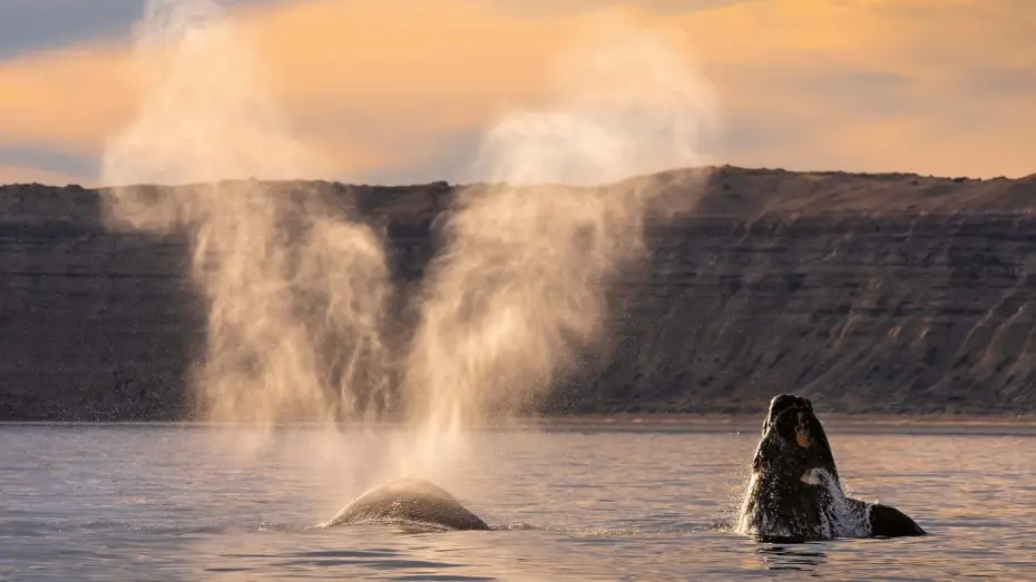 Wideo do serialu Planeta Ziemia III — 15 Minutes of Relaxing Footage from Planet Earth III | Planet Earth III