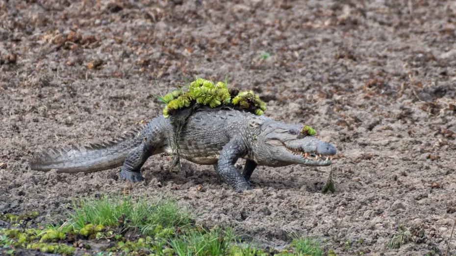 Wideo do serialu Planeta Ziemia III — Mugger Crocodile Ambushes Deer at Watering Hole | Planet Earth III