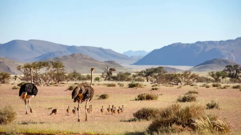Wideo do serialu Planeta Ziemia III — Sir David Attenborough on the Planet Earth series | Planet Earth III