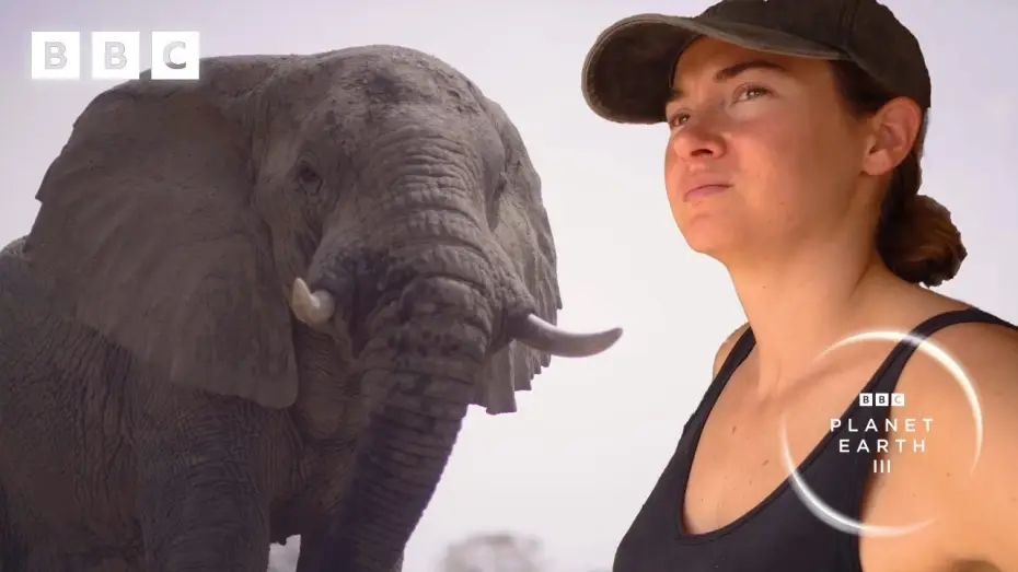 Wideo do serialu Planeta Ziemia III — Elephants saved from poaching learn to trust again | Planet Earth III – Behind the scenes