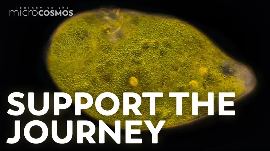 Wideo do serialu Podróż do mikrokosmosu — You Can Support The Microcosmos!