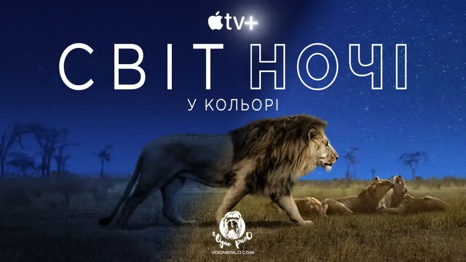 Видео к сериалу Ziemia w nocnych barwach — Світ ночі у кольорі / Earth at Night in Color - трейлер до док. серіалу