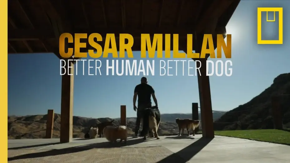 Wideo do serialu Cesar Millan: lepszy człowiek, lepszy pies — Better Human, Better Dog | National Geographic