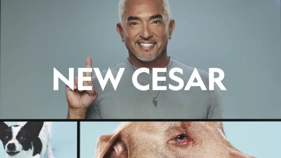 Wideo do serialu Cesar Millan: lepszy człowiek, lepszy pies — Season 2 Promo