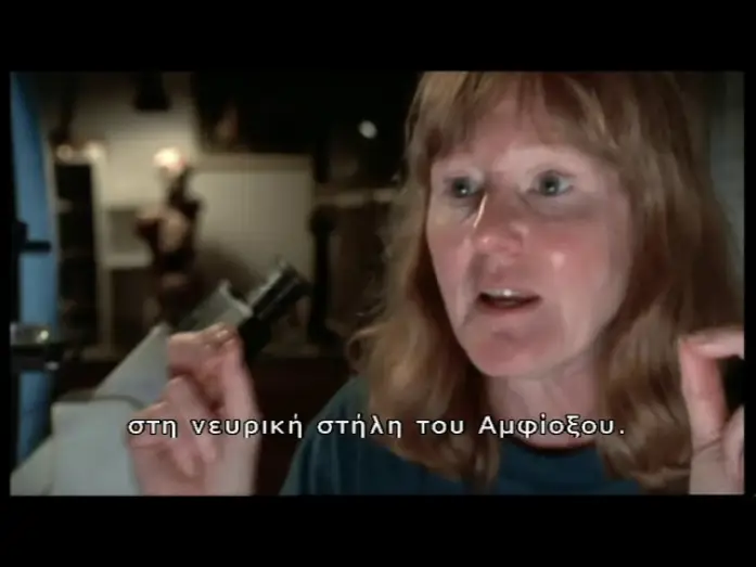 Wideo do serialu Kształt życia — The Shape Of Life: Bones, Brawn and Brains (2001)