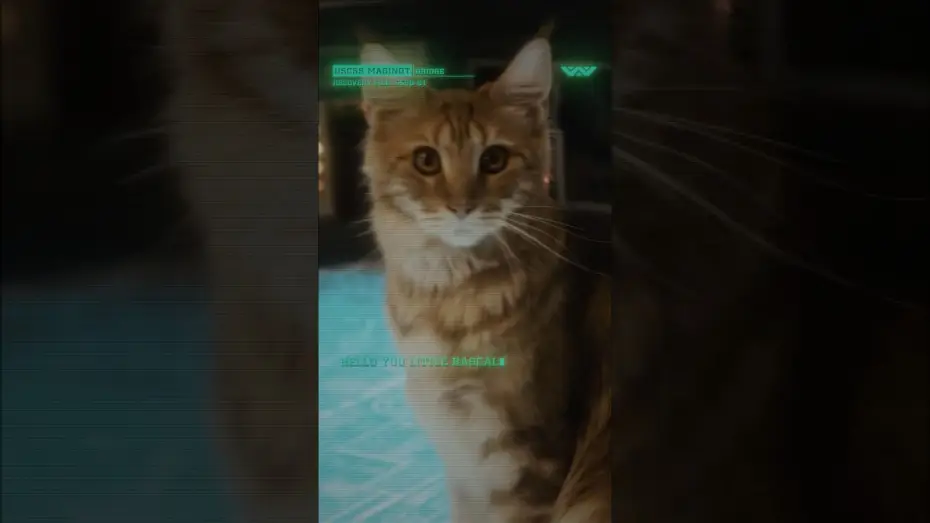 Wideo do serialu Obcy: Ziemia — Remember who got you this job. Who wouldn’t want this job?