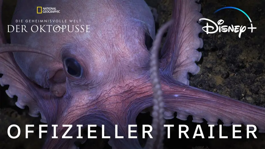 Wideo do serialu Sekretne życie ośmiornic — Offizieller Trailer (OmdU)