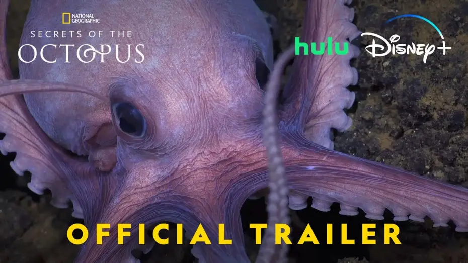 Wideo do serialu Sekretne życie ośmiornic — Official Trailer