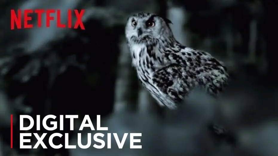 Wideo do serialu Schody — The Staircase | The Owl Theory | Netflix