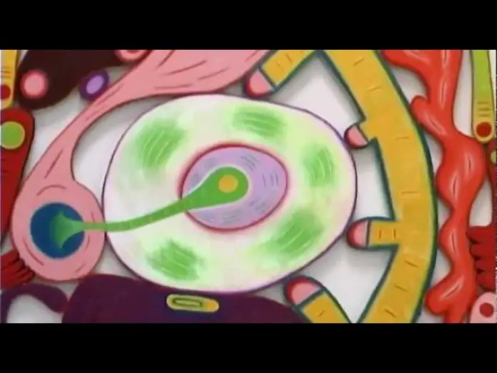 Wideo do serialu art21 — Trailer: Season 2 of "Art in the Twenty-First Century" (2003) | Art21