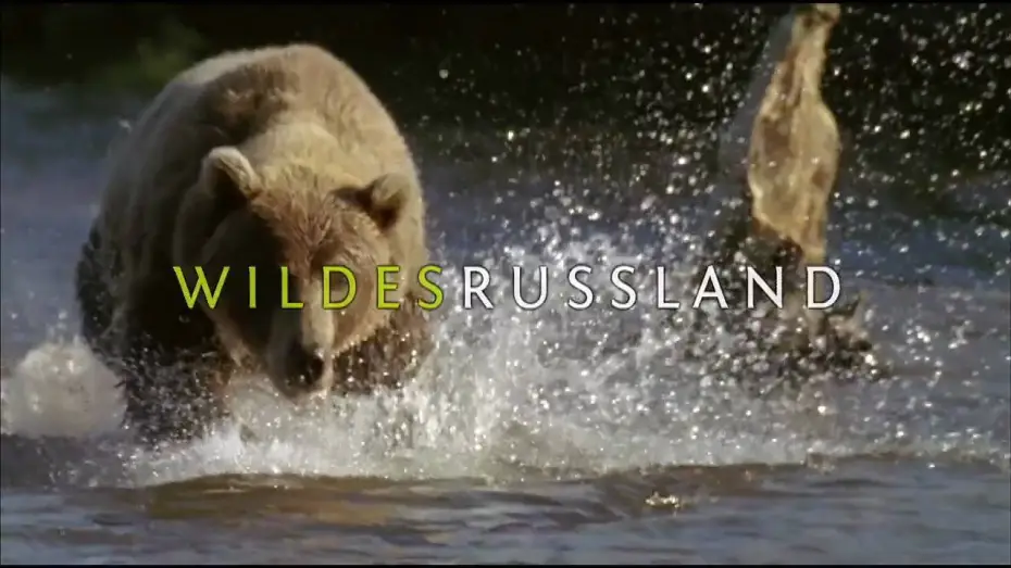 Wideo do serialu Dzika Rosja — [HD] Wildes Russland - Die Serie Trailer