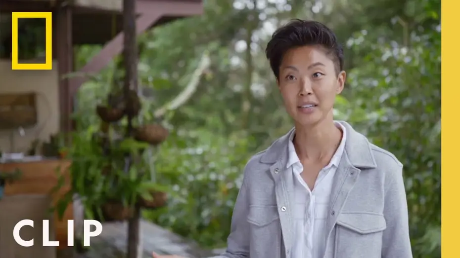 Видео к сериалу Restaurants at the End of the World — Would you go to a restaurant in the rainforest? | Restaurants at the End of the World