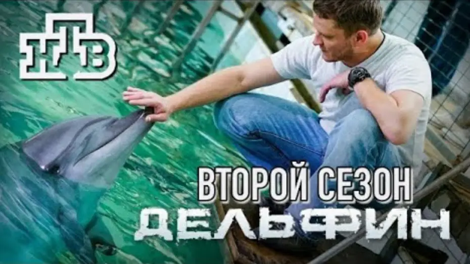 Wideo do serialu Дельфин — Трейлер сериала "Дельфин 2" [2022]