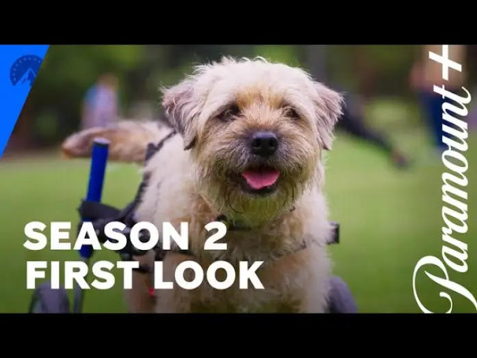 Wideo do serialu Colin from Accounts — Season 2 US First Look