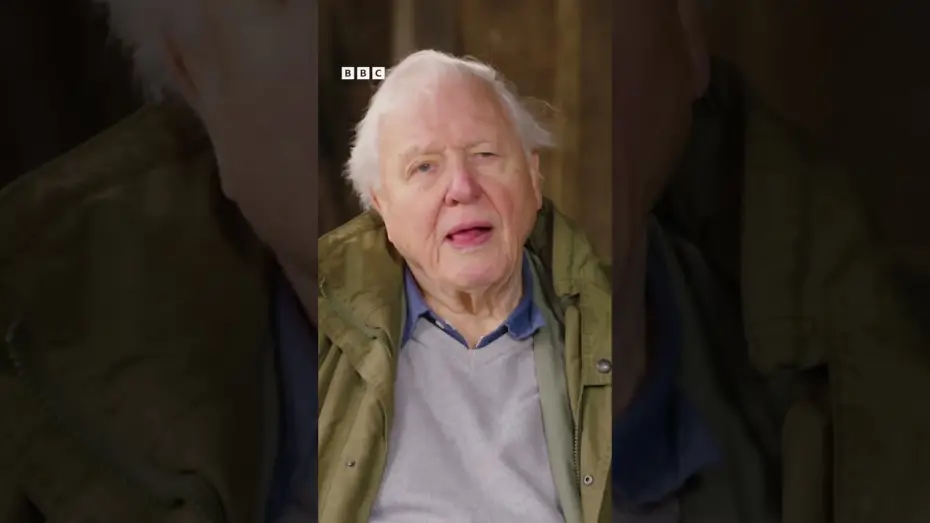 Wideo do serialu Dzikie wyspy — We should be doing all we possibly can