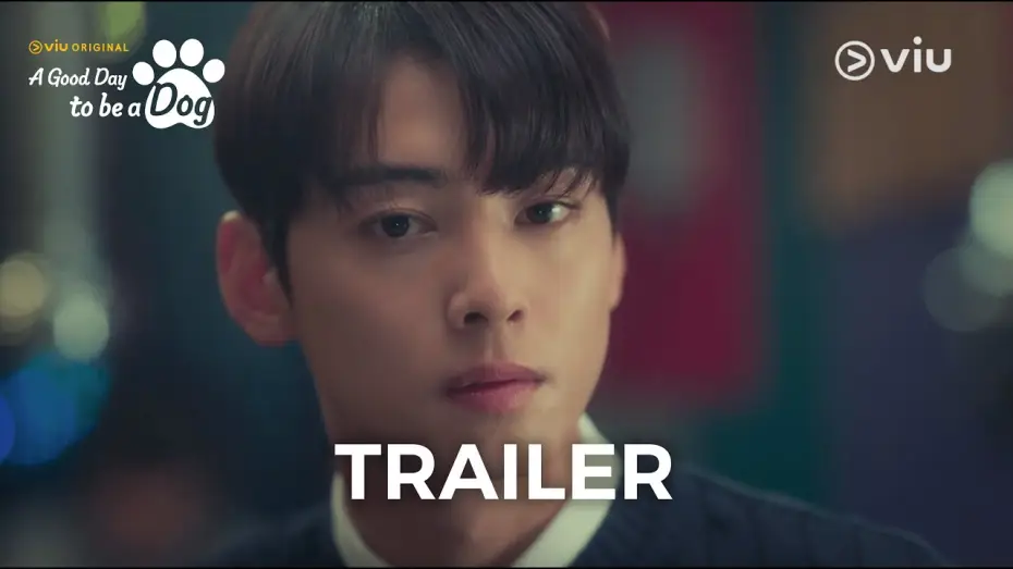 Wideo do serialu A Good Day To Be a Dog — Now Streaming [ENG SUB]