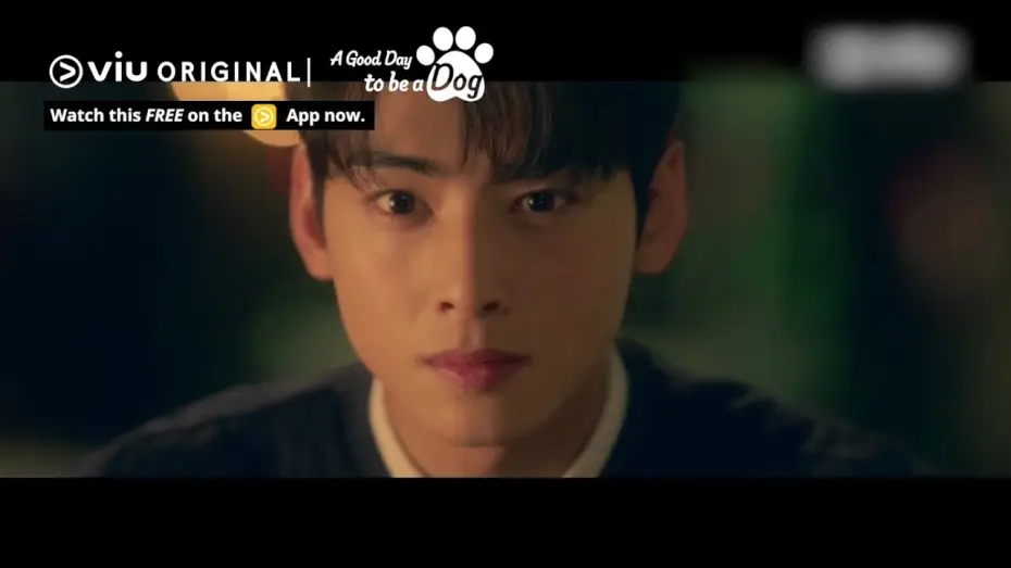 Wideo do serialu A Good Day To Be a Dog — Will Cha Eun Woo Kiss the Dog Version of Park Gyu Young? [ENG SUB]