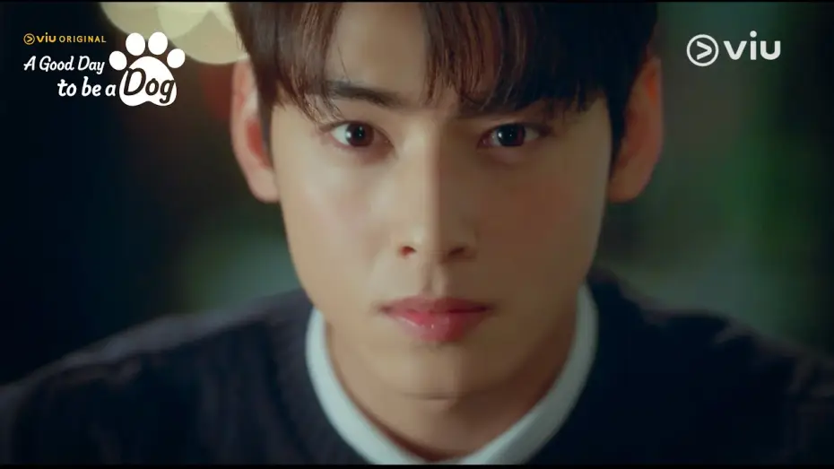 Wideo do serialu A Good Day To Be a Dog — Teaser 2: Cha Eun Woo's Paw-dorable Secret! [ENG SUB]