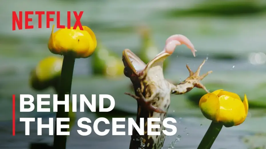 Wideo do serialu Nasz pełny życia świat — Shooting Frogs