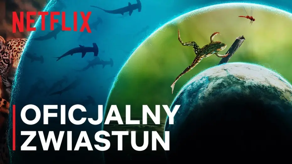 Wideo do serialu Nasz pełny życia świat — Oficjalny zwiastun [Napisy]