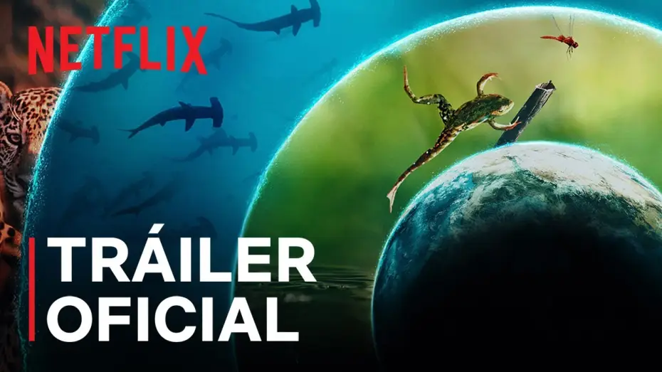 Wideo do serialu Nasz pełny życia świat — Tráiler oficial [Subtitulado]