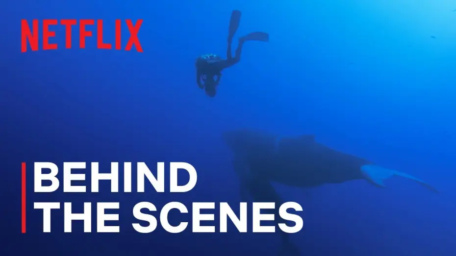 Wideo do serialu Nasze oceany — Filming Magnificent Humpback Whales