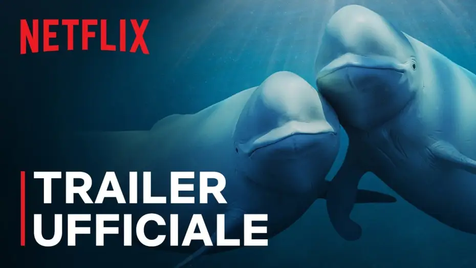 Видео к сериалу Nasze oceany — Trailer ufficiale [Sottotitolato]