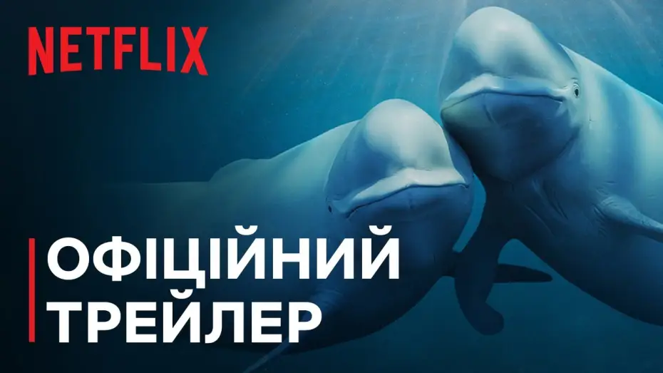 Видео к сериалу Nasze oceany — Офіційний трейлер [Субтитри]