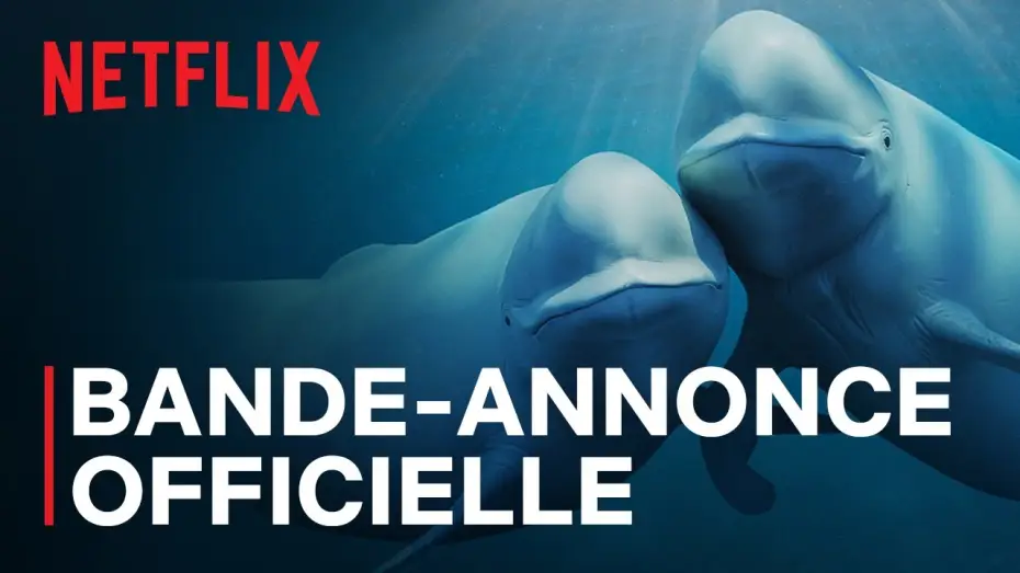 Видео к сериалу Nasze oceany — Bande-annonce officielle [VOSTFR]