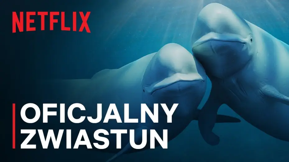 Видео к сериалу Nasze oceany — Oficjalny zwiastun [Napisy]
