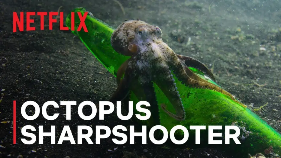 Wideo do serialu Nasze oceany — Octopus Sharpshooter