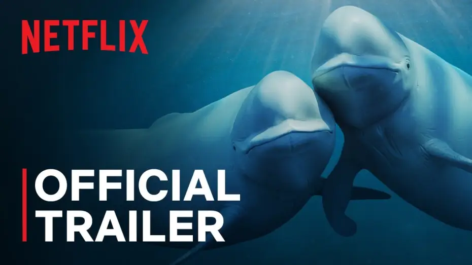 Видео к сериалу Nasze oceany — Official Trailer