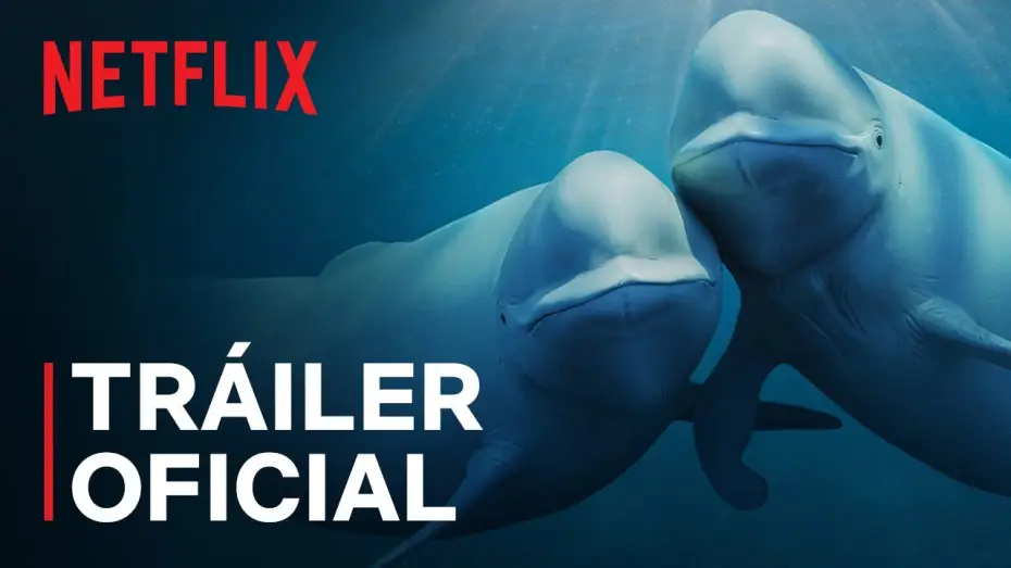 Видео к сериалу Nasze oceany — Tráiler oficial [Subtitulado]