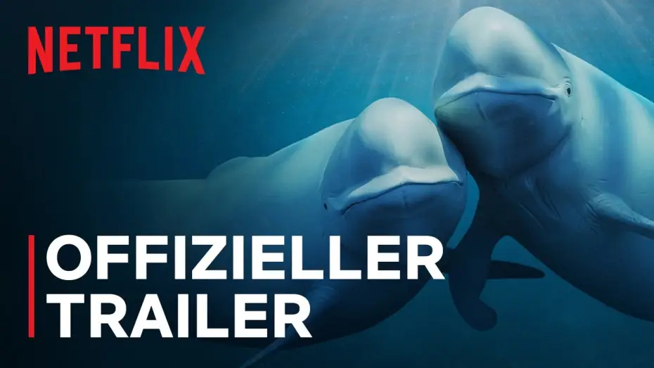 Видео к сериалу Nasze oceany — Offizieller Trailer [OmU]