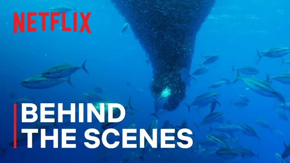 Wideo do serialu Nasze oceany — Fishnado!