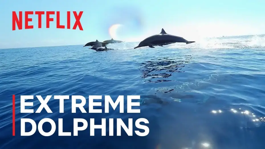 Видео к сериалу Nasze oceany — Extreme Dolphins