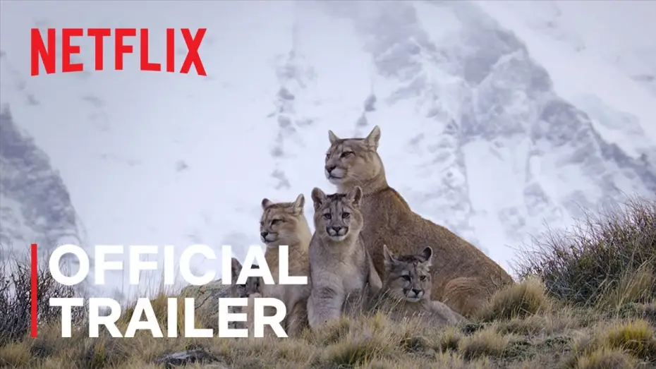 Wideo do serialu Drapieżniki — Official Netflix Trailer